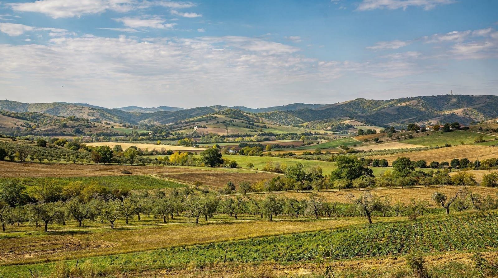 Danilovgrad