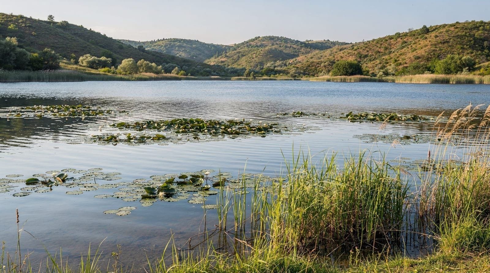 El lago Skadar