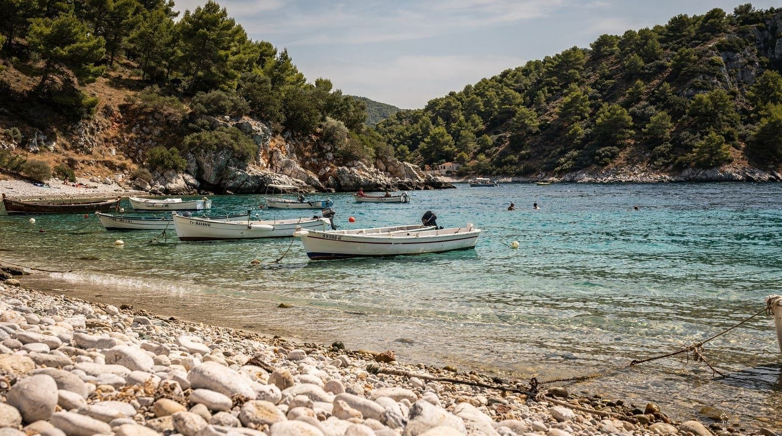 Plavi Horizonti
