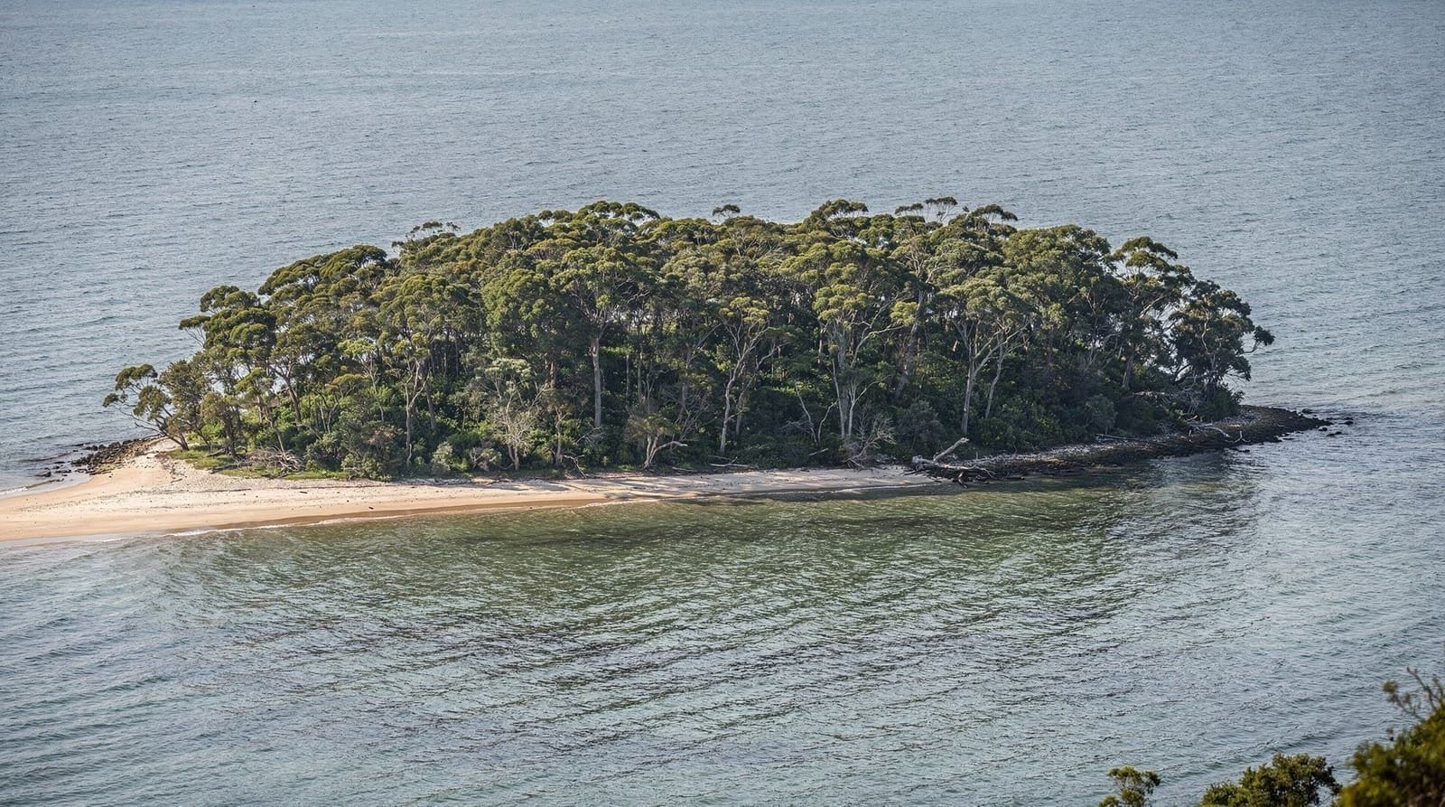 Isla Sveti Nikola