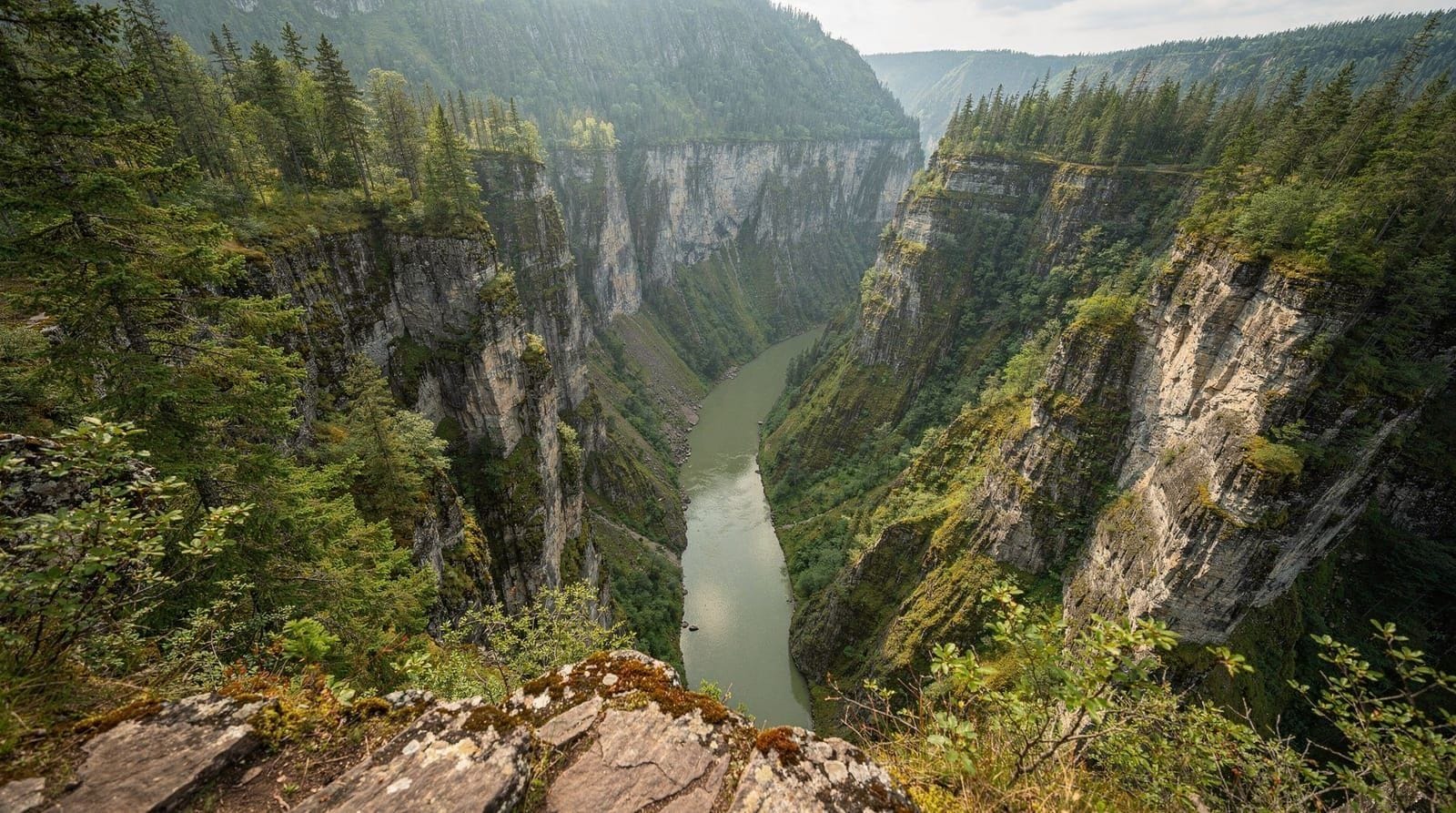 Cañón del Tara