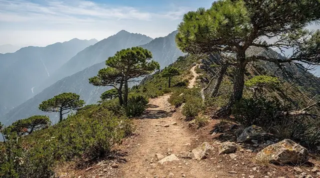Biogradska Gora: a flat, shaded hike through one of Europe's last primeval forests