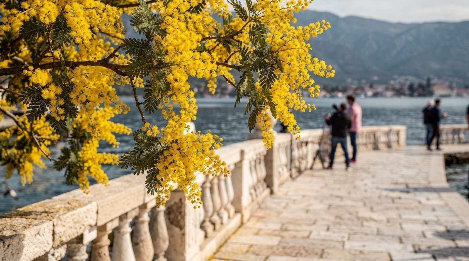 Festival della mimosa di Castelnuovo: date, sfilate e perché conta a febbraio