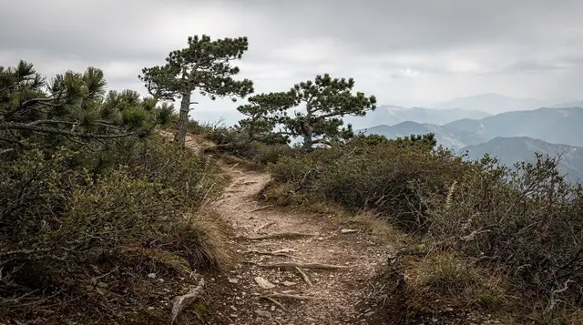 Lovćen National Park: a hiking guide from Kotor