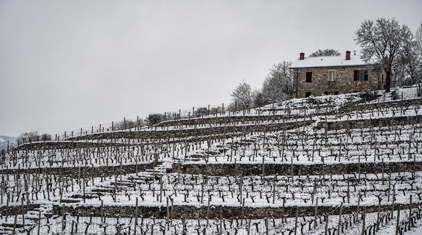 Guía del vino montenegrino: Vranac y Krstač