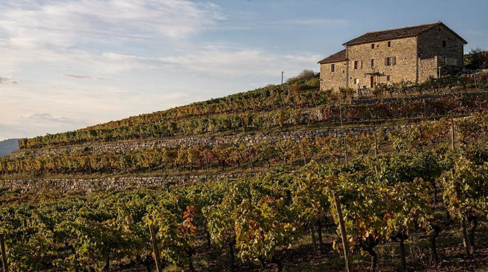 Cata de vino en Crmnica: bodegas familiares cerca de Virpazar
